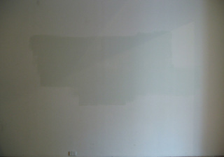 Blind Spot Quality Assurance, 2006</br> Pegasus acrylic paint on wall, 320 x 195 cm                                                                             
Painted shadow from the concealed text – ‘the no mans land of things that never see the light of day’, which was projected onto the wall and painted out.