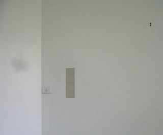 Private Collection, 2007				  
Repaired existing hole in wall, aluminium sheet, picture hook concealing peephole beneath, dimensions variable